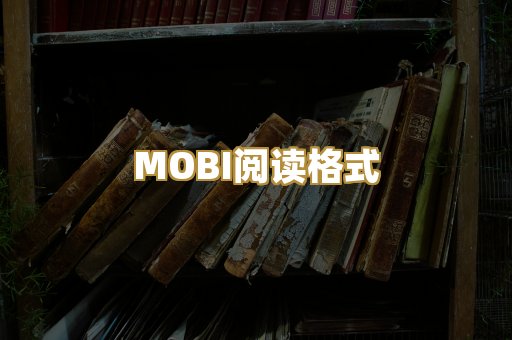 MOBI阅读格式